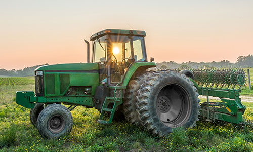 agriculture