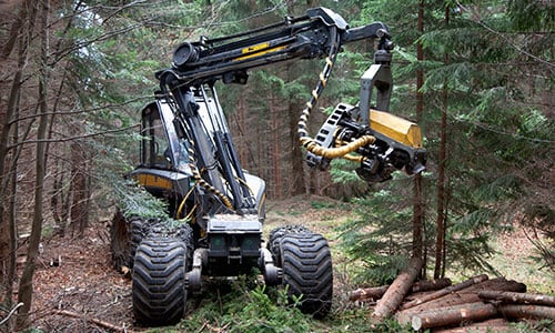 forestry